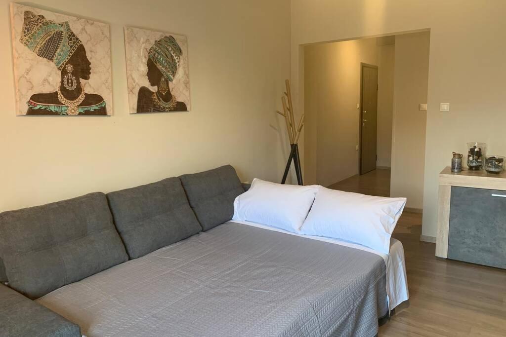 Belajo Central Apartment And Jacuzzi !! Volos Exterior photo